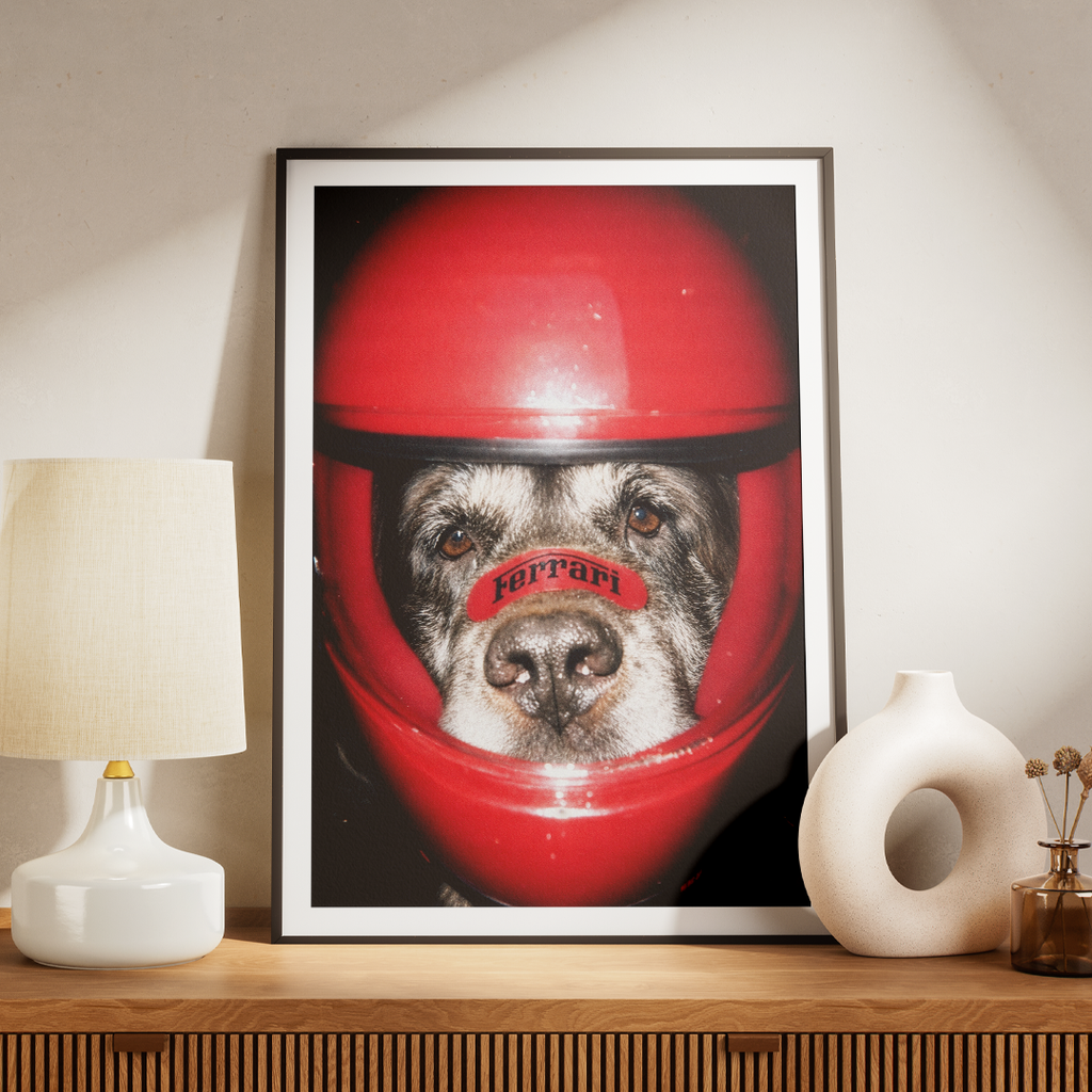 "Forza" - Custom Framed Pet Portrait