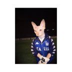 "Azzurri" - Custom Framed Pet Portrait
