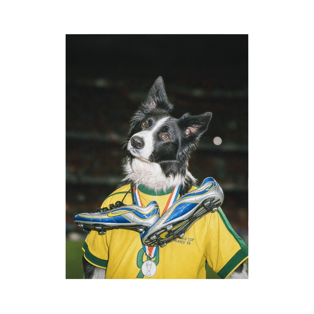 "Golden Boot"  - Custom Framed Pet Portrait