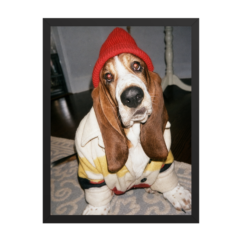 "Slow Morning" - Custom Framed Pet Portrait
