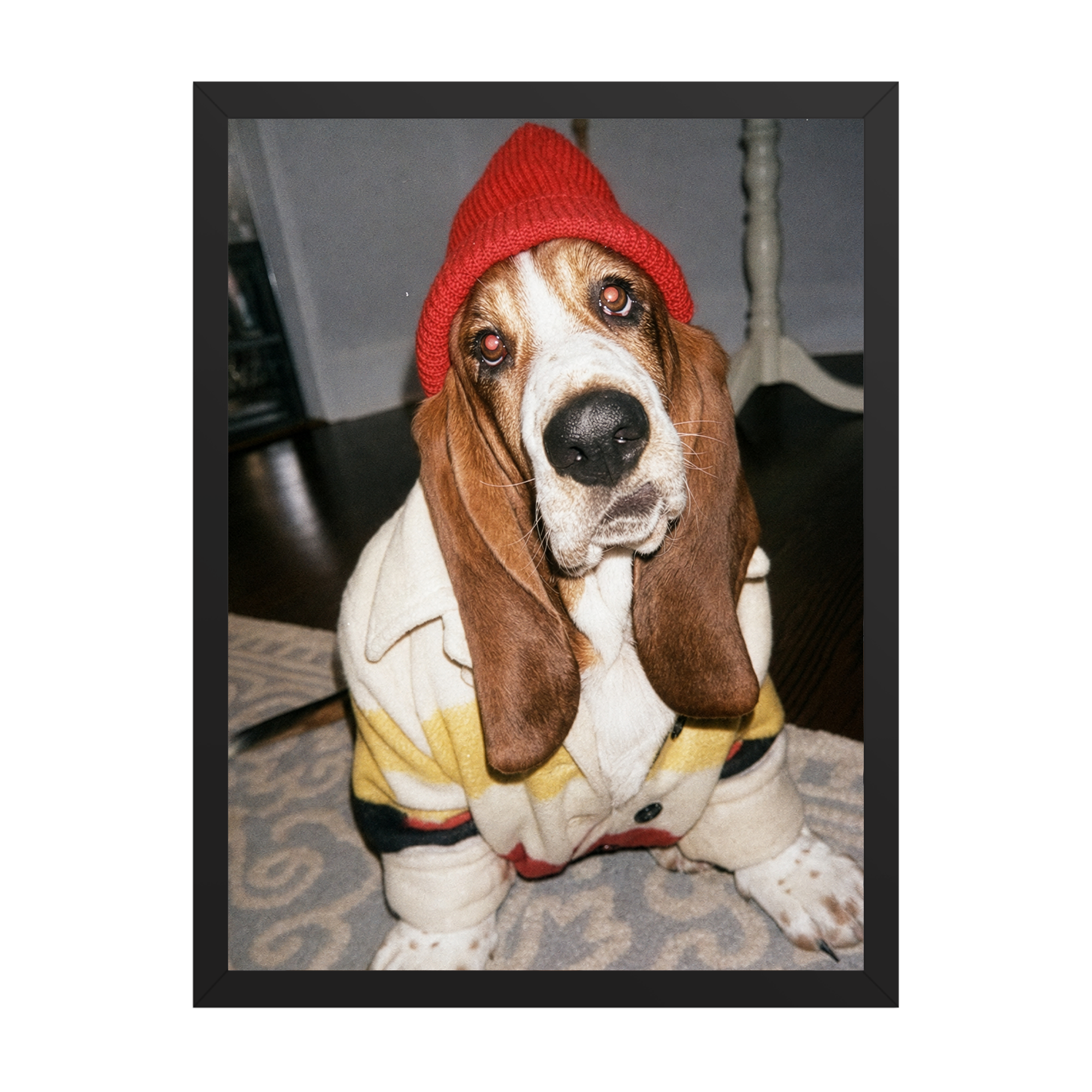 "Slow Morning" - Custom Framed Pet Portrait