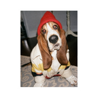 "Slow Morning" - Custom Framed Pet Portrait