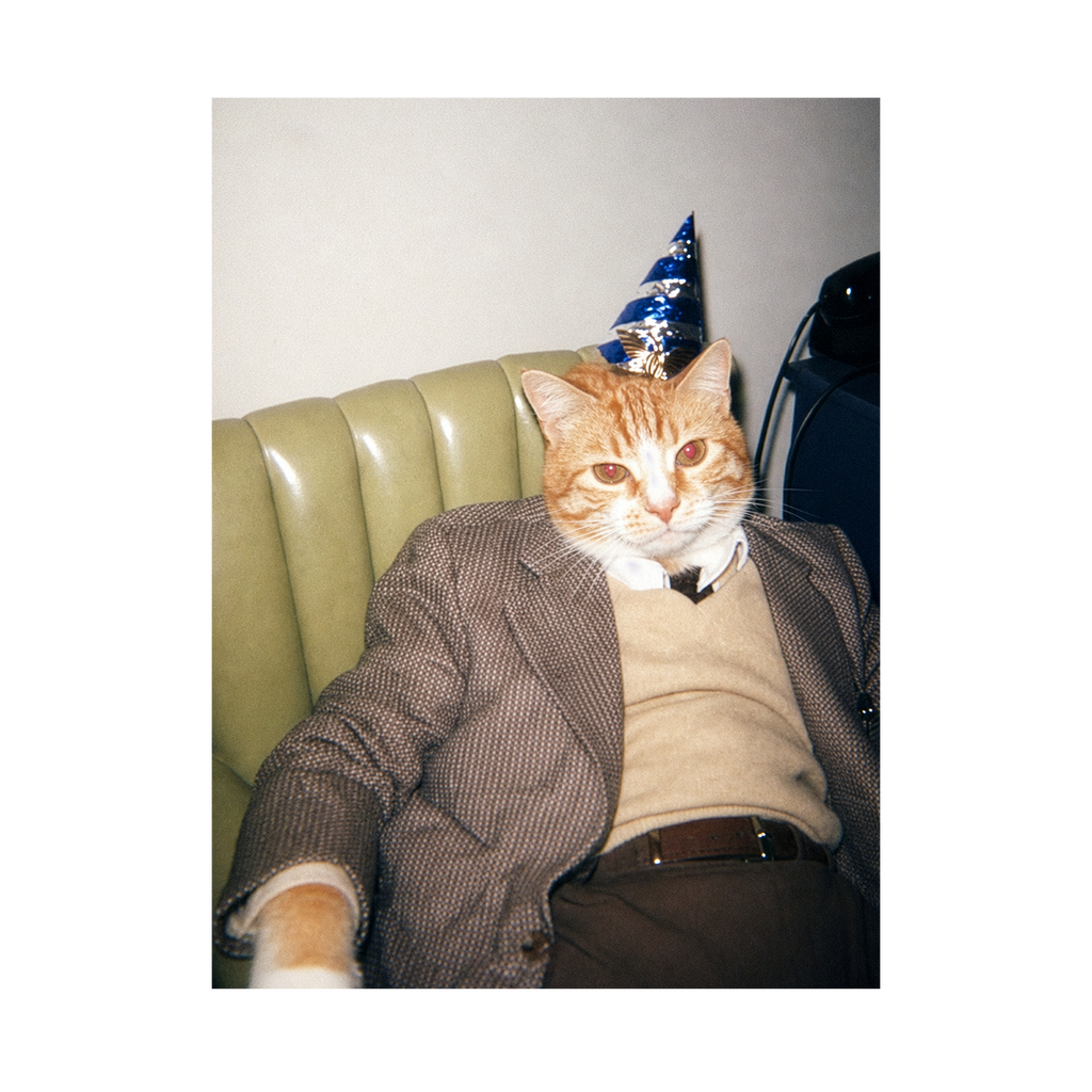 "Birthday Boy" - Custom Framed Pet Portrait