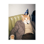"Birthday Boy" - Custom Framed Pet Portrait