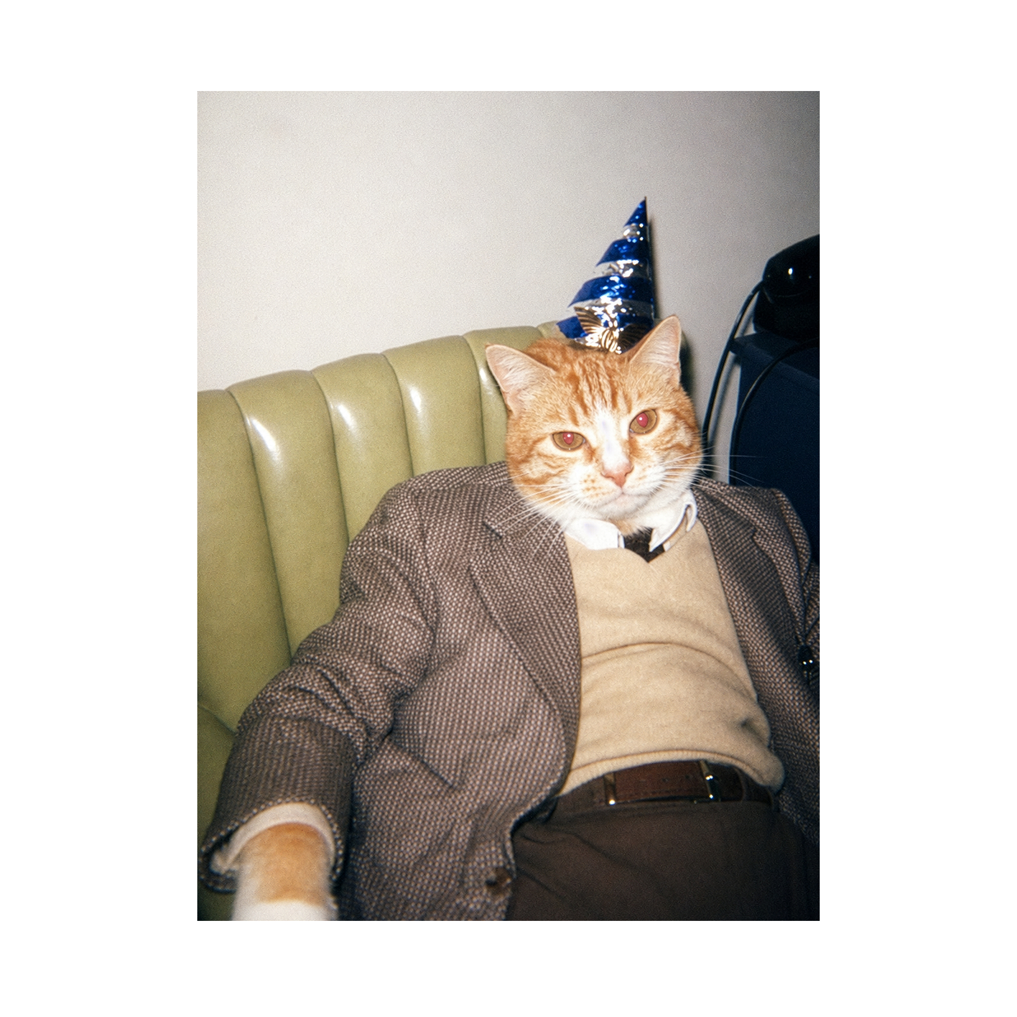 "Birthday Boy" - Custom Framed Pet Portrait