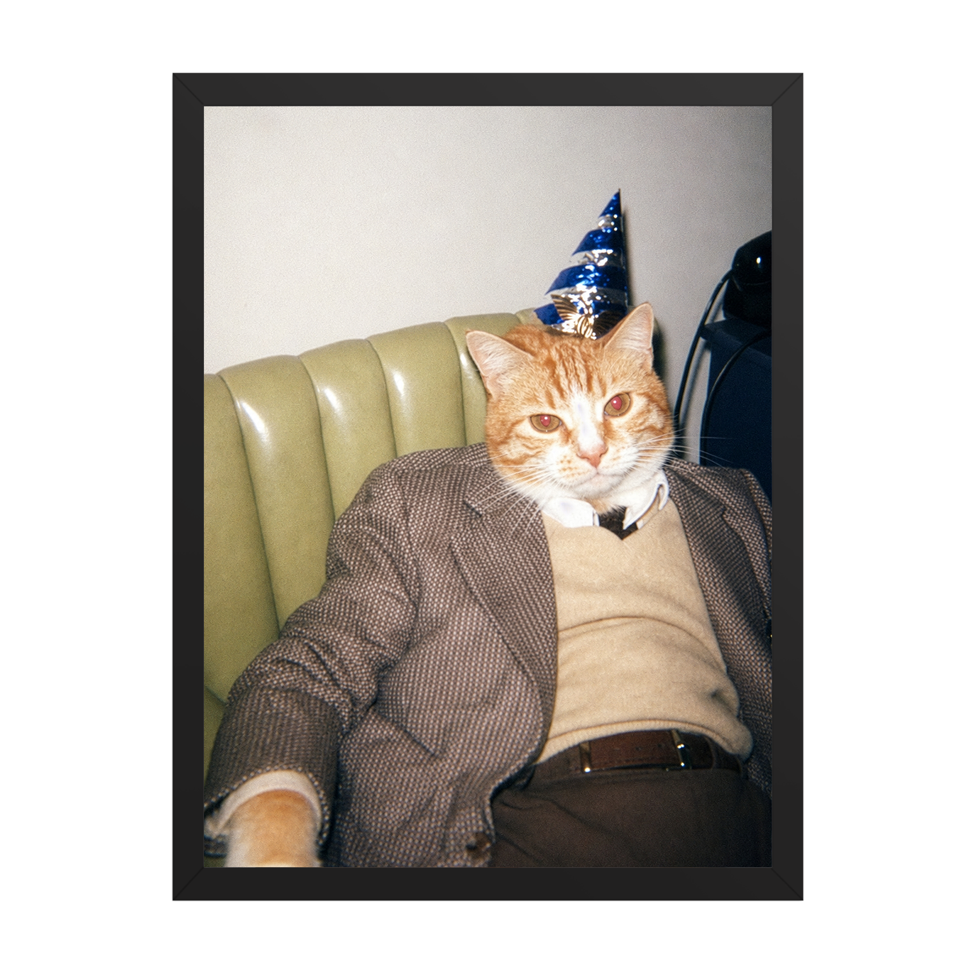 "Birthday Boy" - Custom Framed Pet Portrait