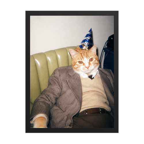 "Birthday Boy" - Custom Framed Pet Portrait