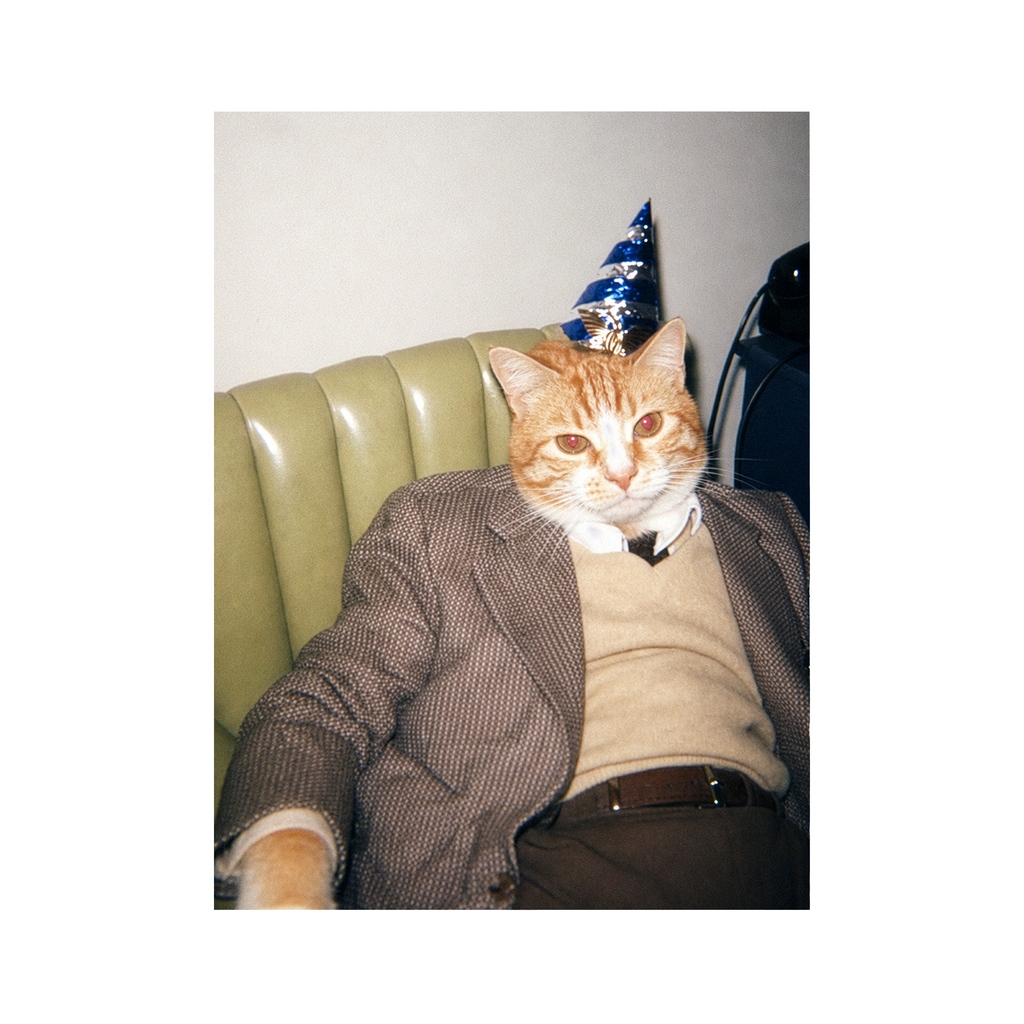 "Birthday Boy" - Custom Framed Pet Portrait