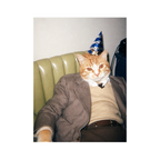 "Birthday Boy" - Custom Framed Pet Portrait