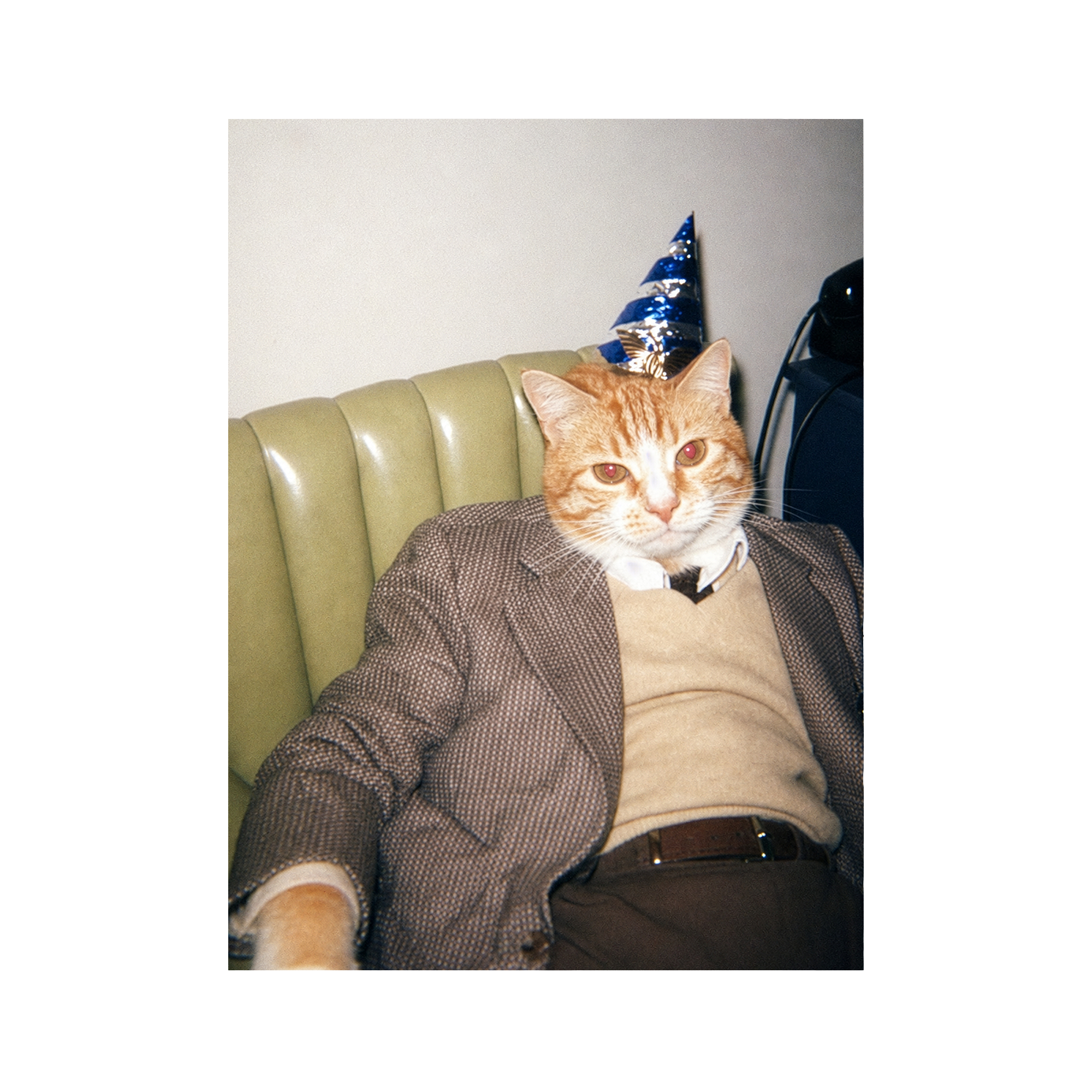"Birthday Boy" - Custom Framed Pet Portrait
