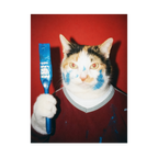 "Wet Paint"  - Custom Framed Pet Portrait