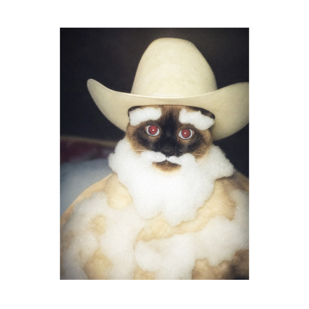 "Wild West" - Custom Framed Pet Portrait