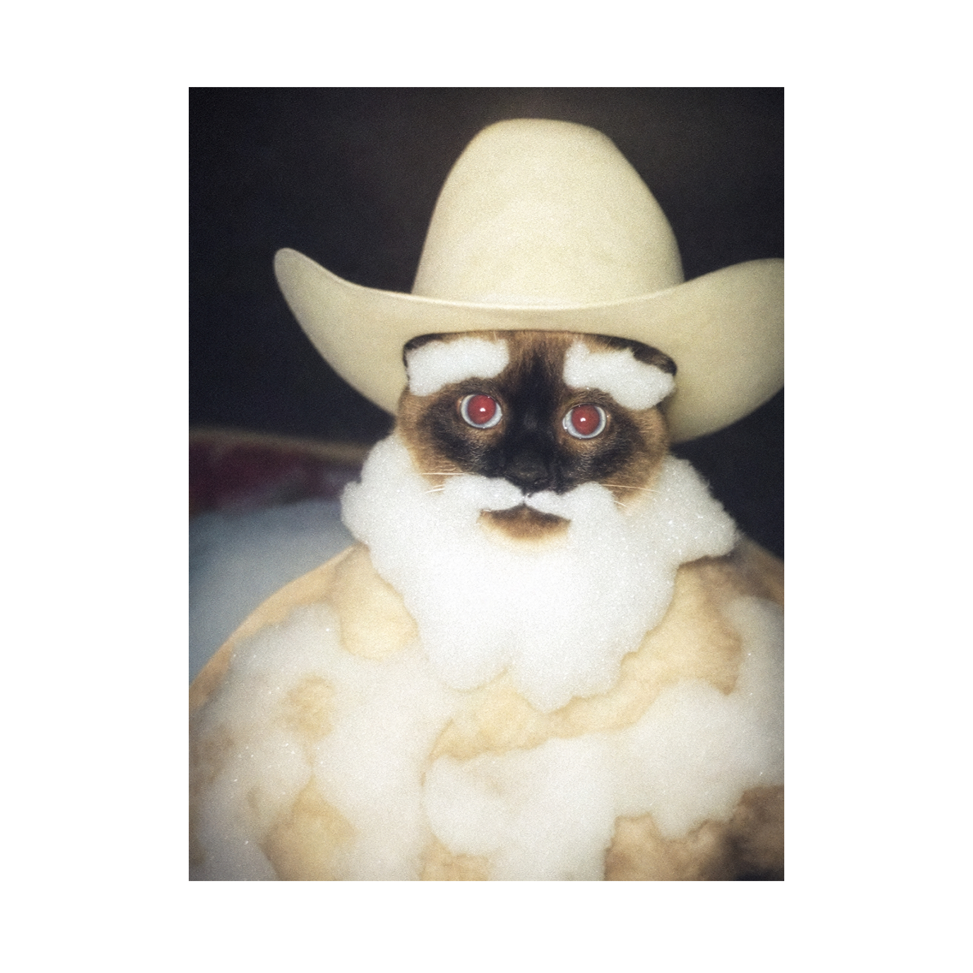"Wild West" - Custom Framed Pet Portrait