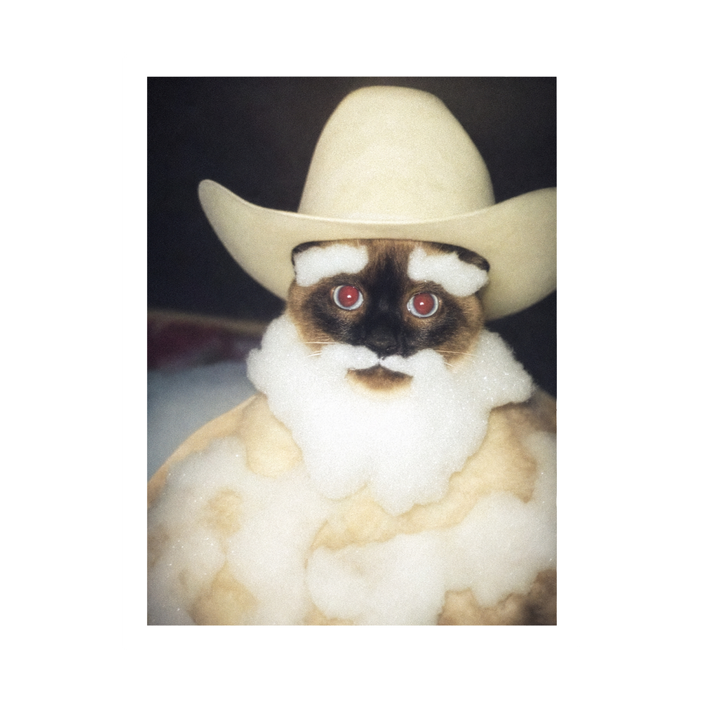 "Wild West" - Custom Framed Pet Portrait