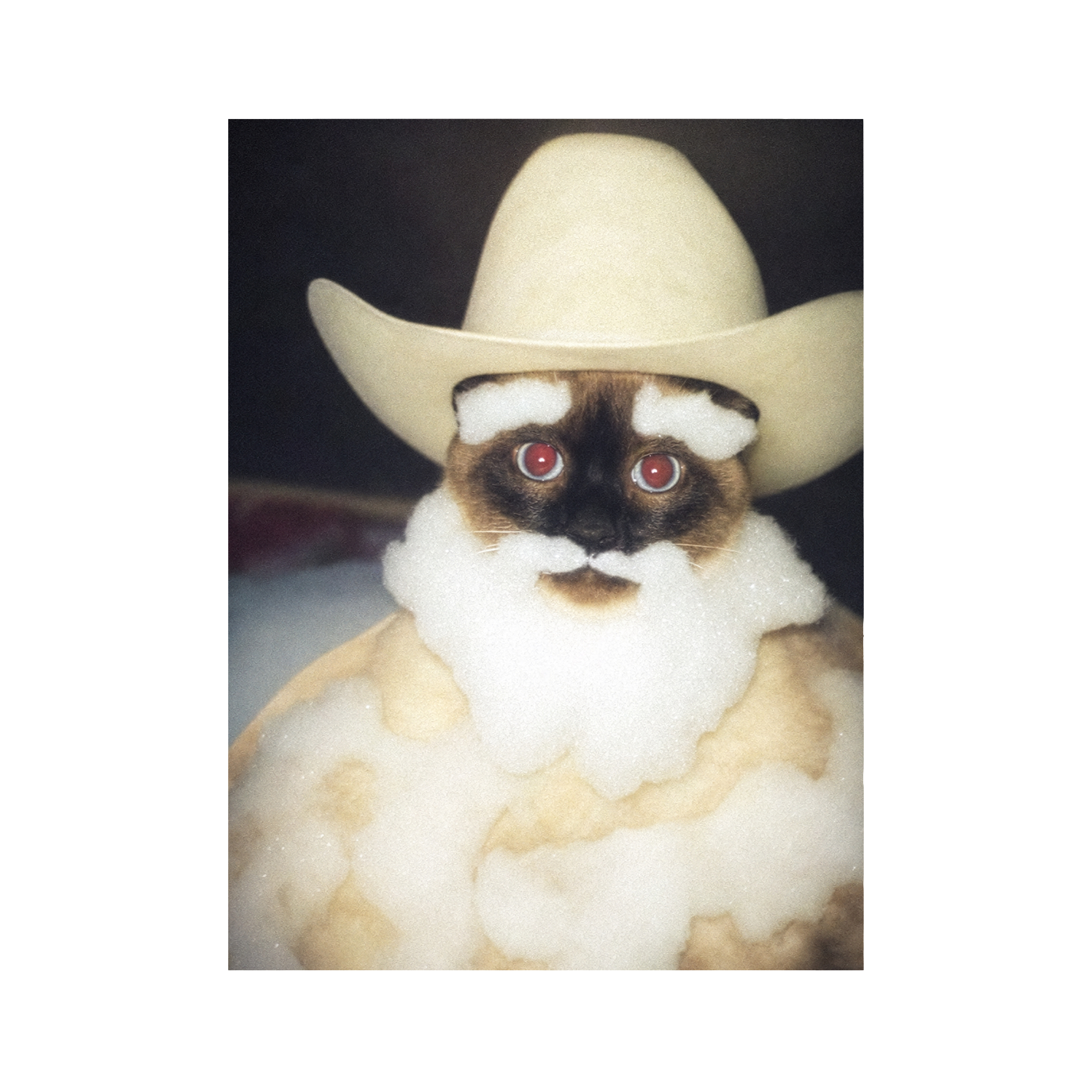 "Wild West" - Custom Framed Pet Portrait