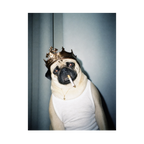 "His Majesty"  - Custom Framed Pet Portrait