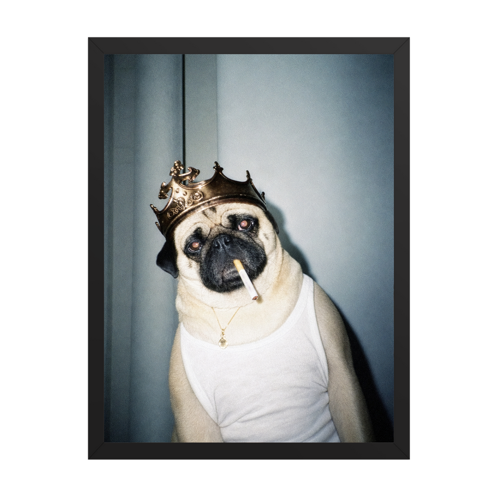 "His Majesty"  - Custom Framed Pet Portrait