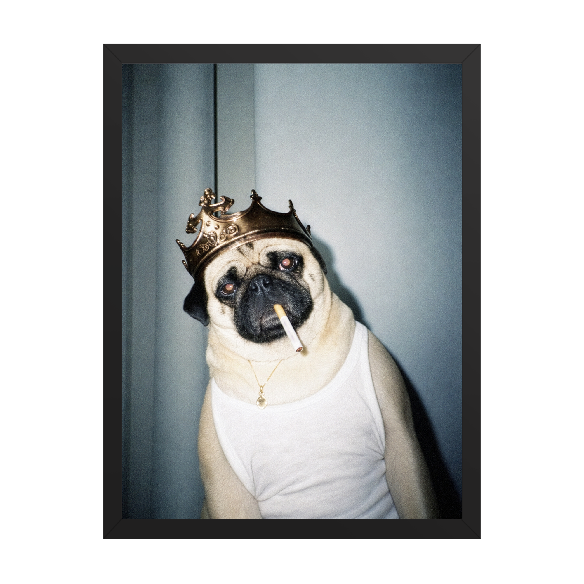 "His Majesty"  - Custom Framed Pet Portrait