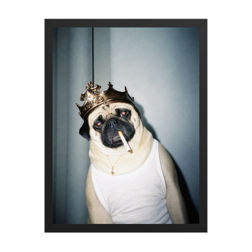 "His Majesty"  - Custom Framed Pet Portrait