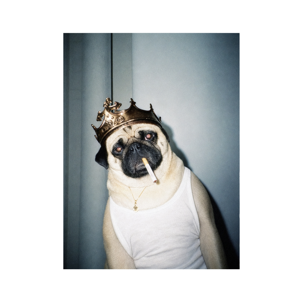 "His Majesty"  - Custom Framed Pet Portrait