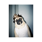 "His Majesty"  - Custom Framed Pet Portrait