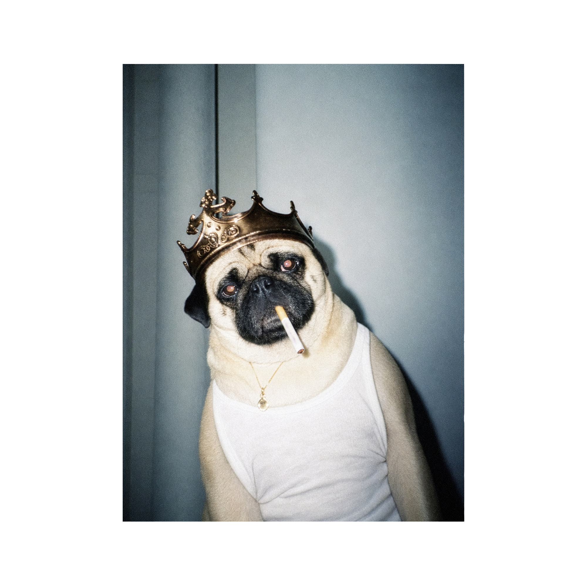 "His Majesty"  - Custom Framed Pet Portrait