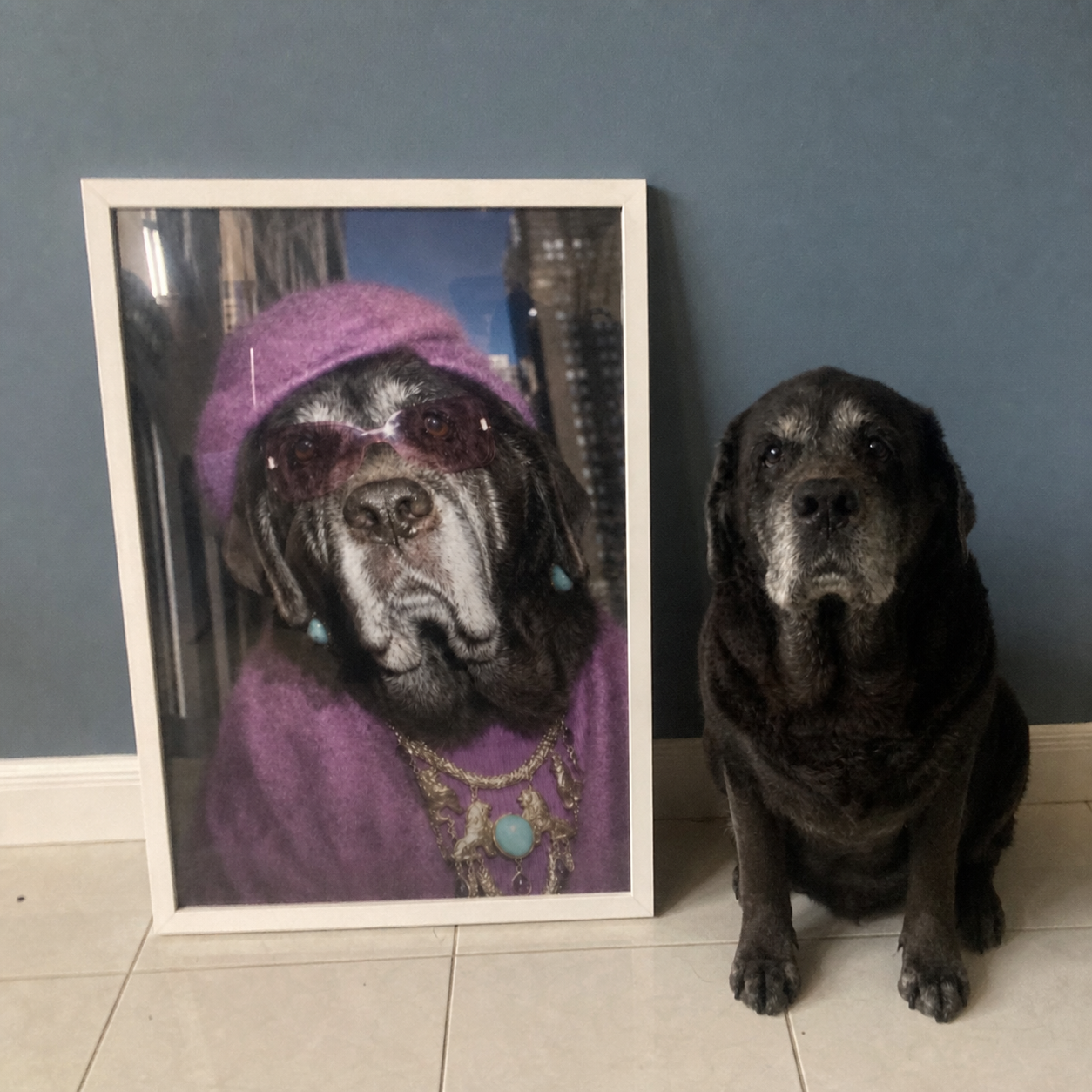 "Fifth Avenue" - Custom Framed Pet Portrait
