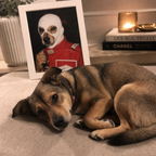 "Race Driver" - Custom Framed Pet Portrait