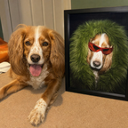"Fashion Shoot" - Custom Framed Pet Portrait