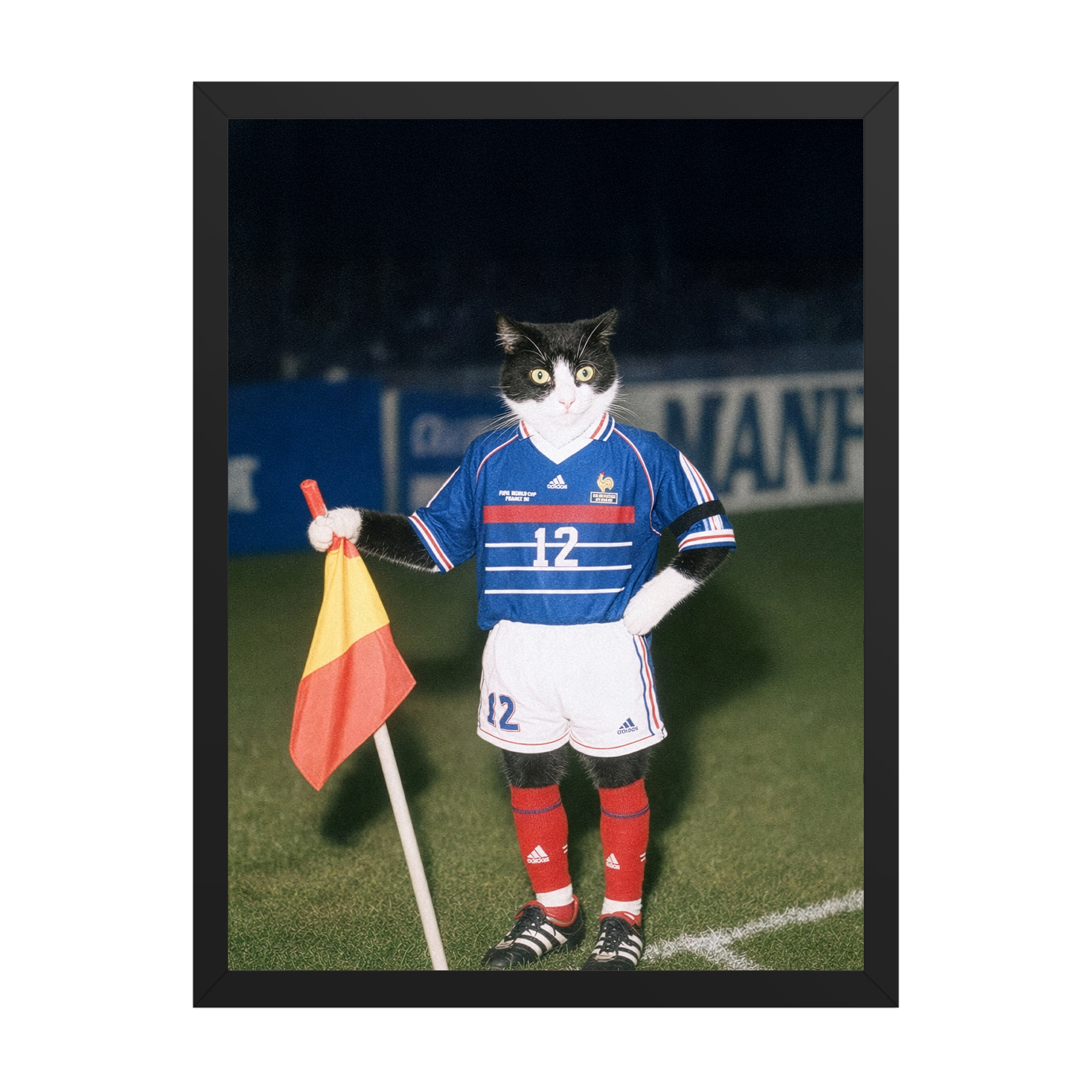 "France '98" - Custom Framed Pet Portrait