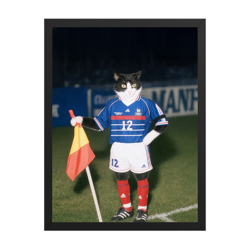 "France '98" - Custom Framed Pet Portrait