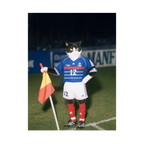"France '98" - Custom Framed Pet Portrait