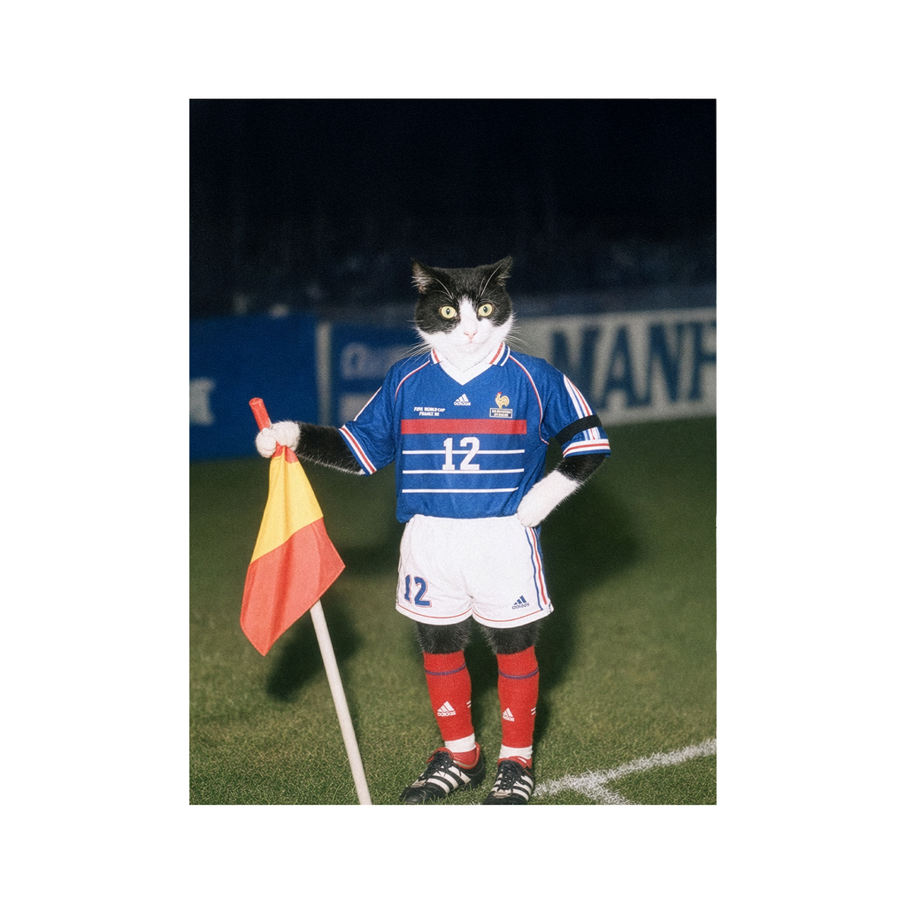 "France '98" - Custom Framed Pet Portrait