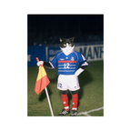 "France '98" - Custom Framed Pet Portrait
