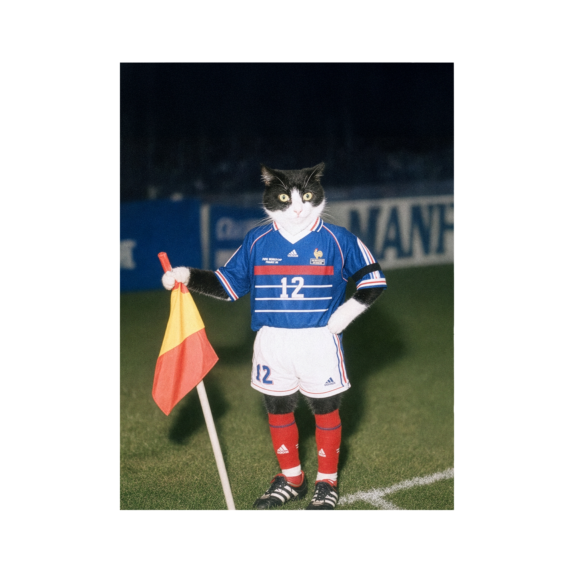 "France '98" - Custom Framed Pet Portrait