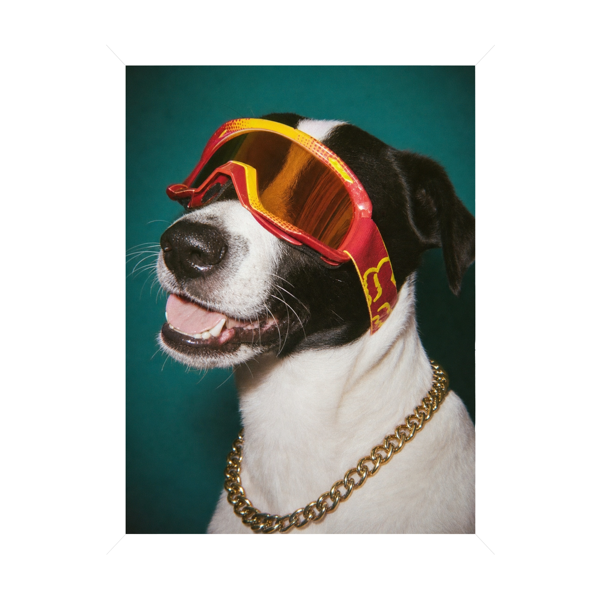 "Goggles On" - Custom Framed Pet Portrait
