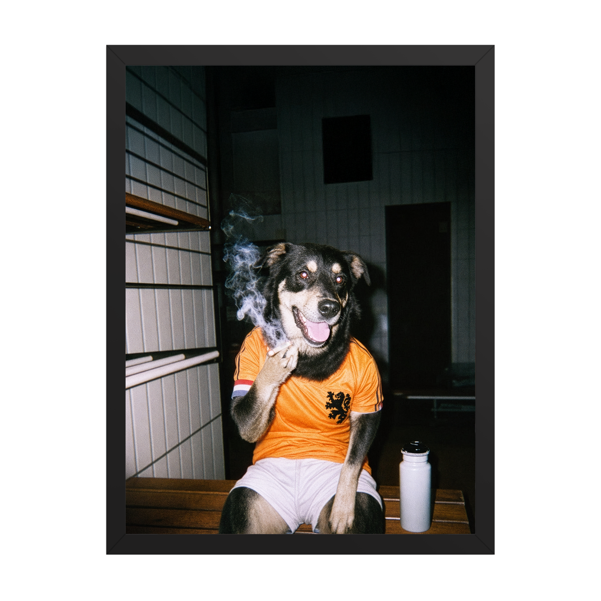 "Oranje" - Custom Framed Pet Portrait