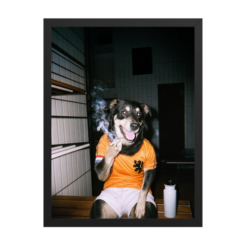 "Oranje" - Custom Framed Pet Portrait