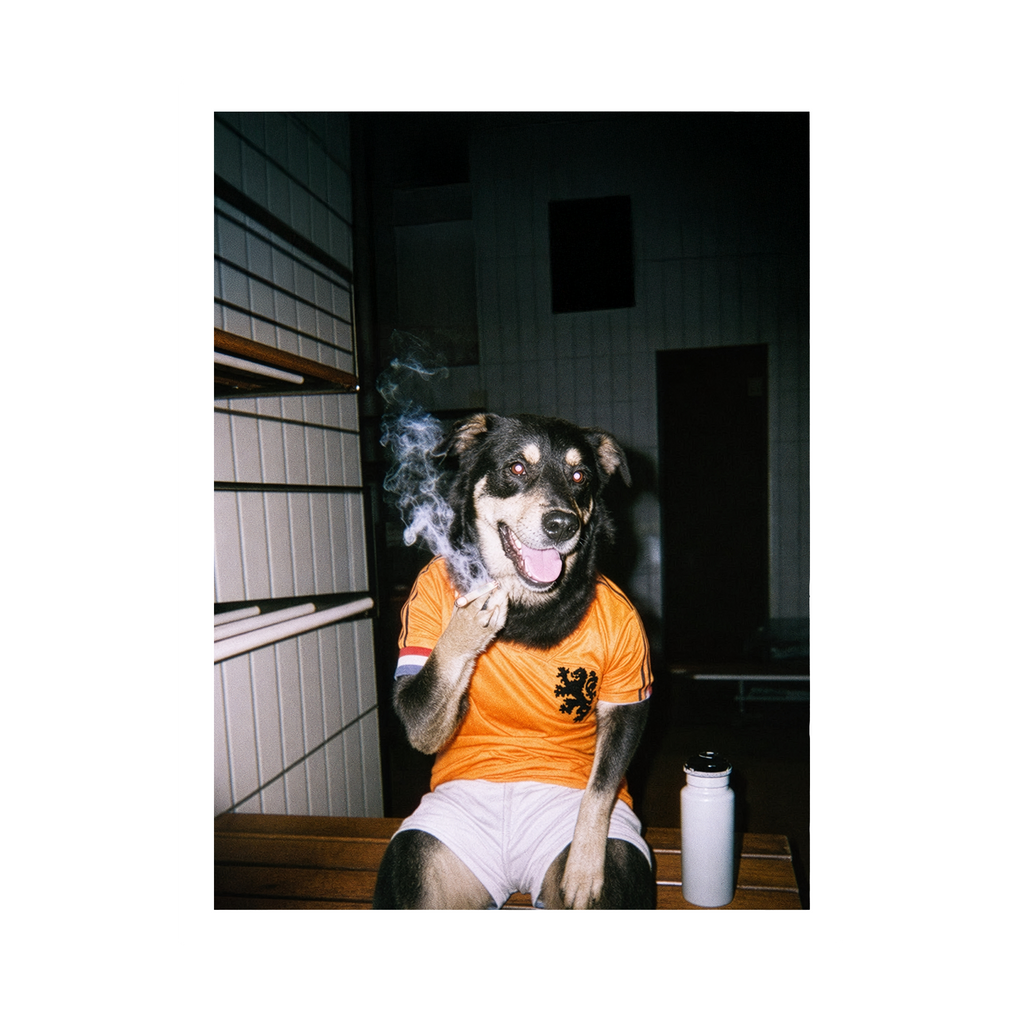 "Oranje" - Custom Framed Pet Portrait
