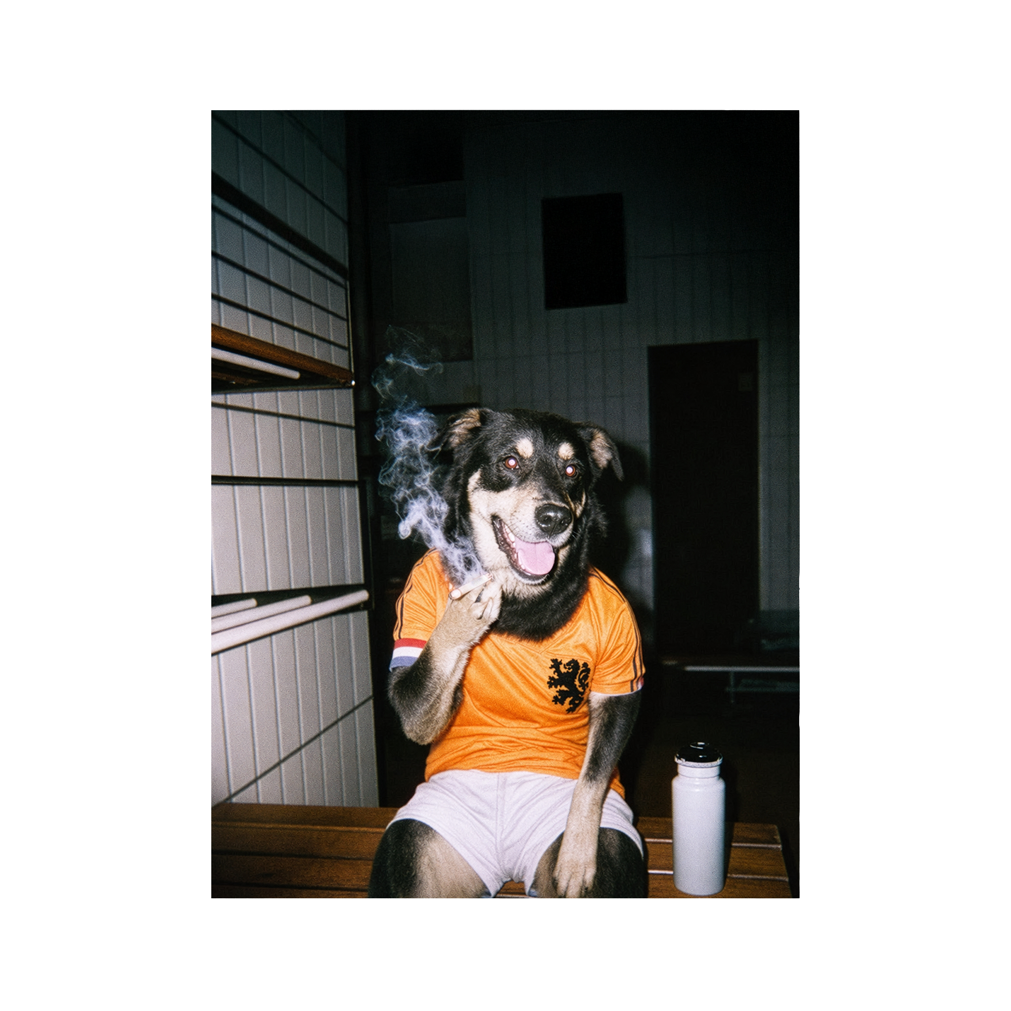"Oranje" - Custom Framed Pet Portrait