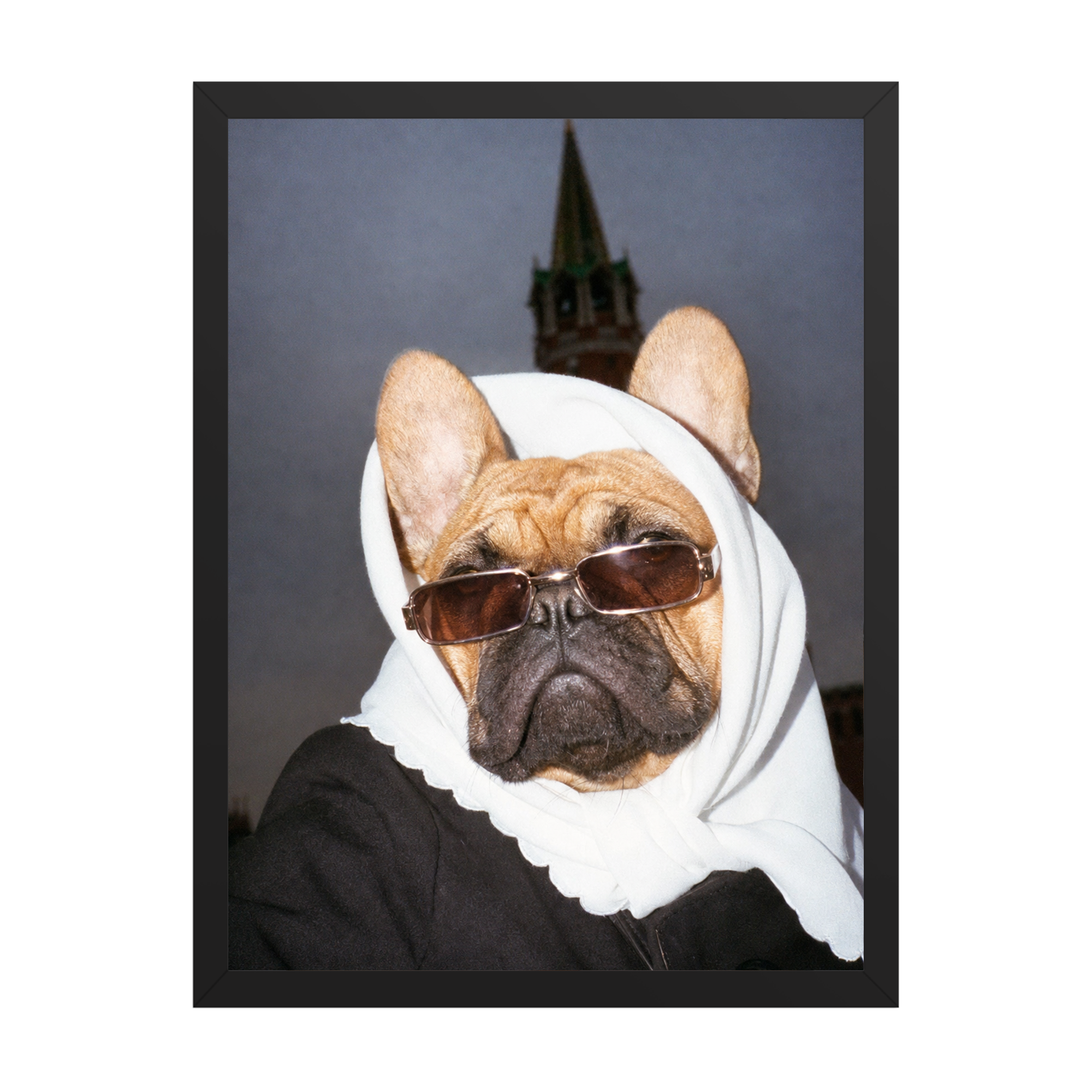 "Pray On It" - Custom Framed Pet Portrait