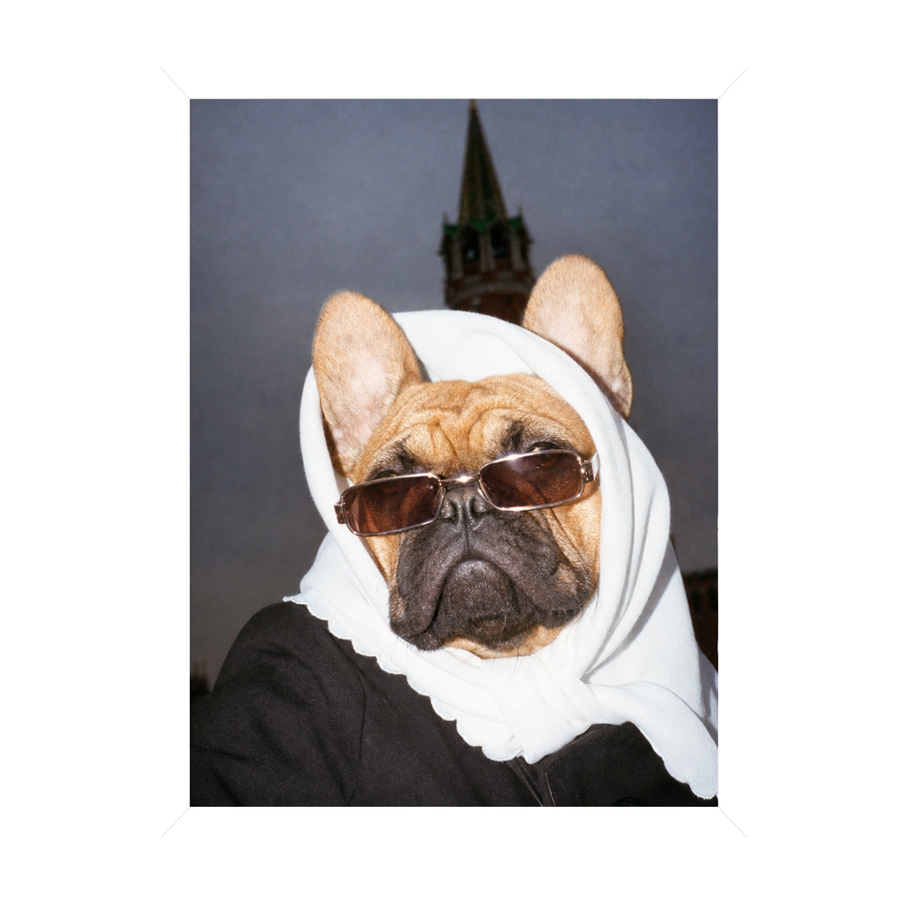 "Pray On It" - Custom Framed Pet Portrait