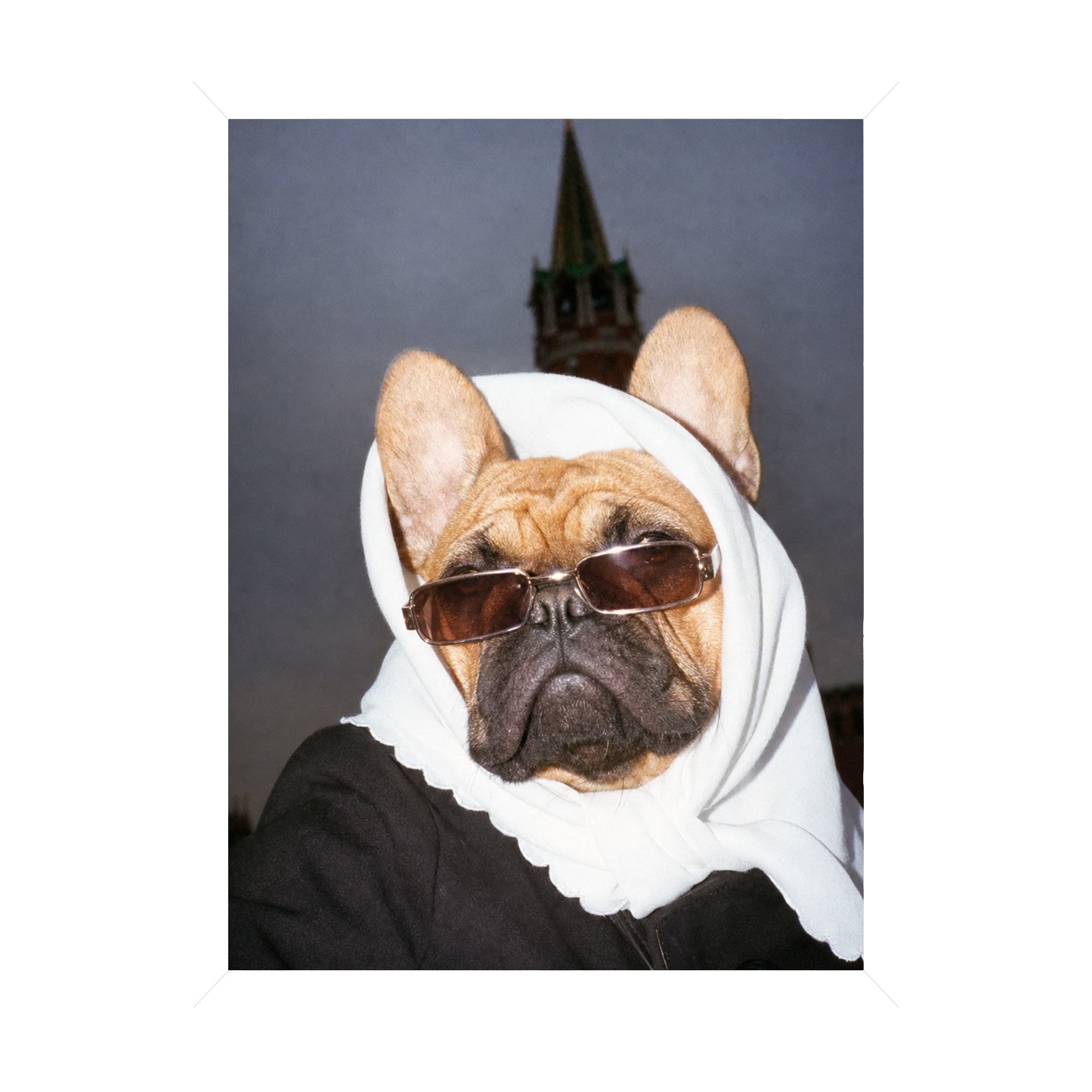 "Pray On It" - Custom Framed Pet Portrait