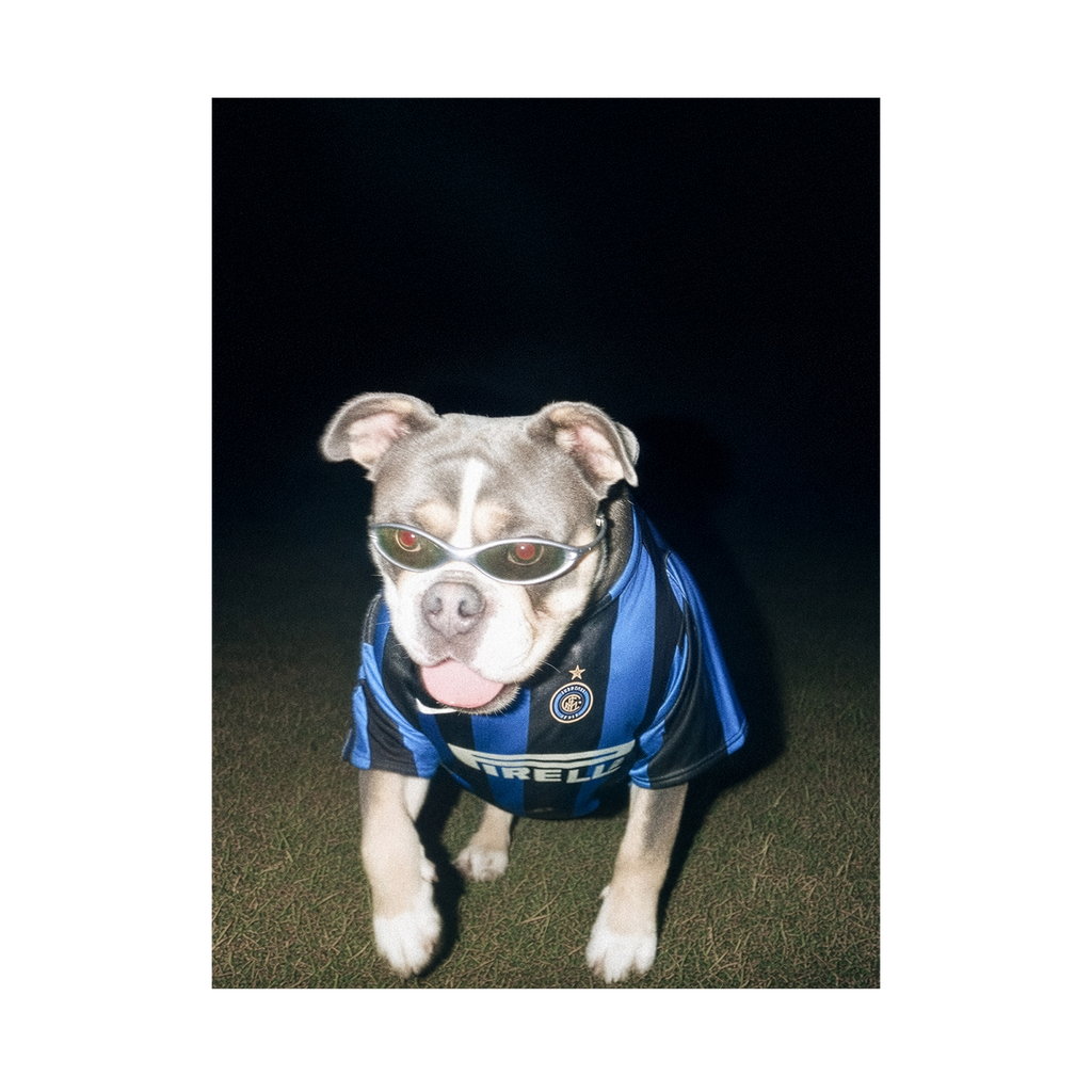 "San Siro" - Custom Framed Pet Portrait