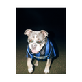 "San Siro" - Custom Framed Pet Portrait