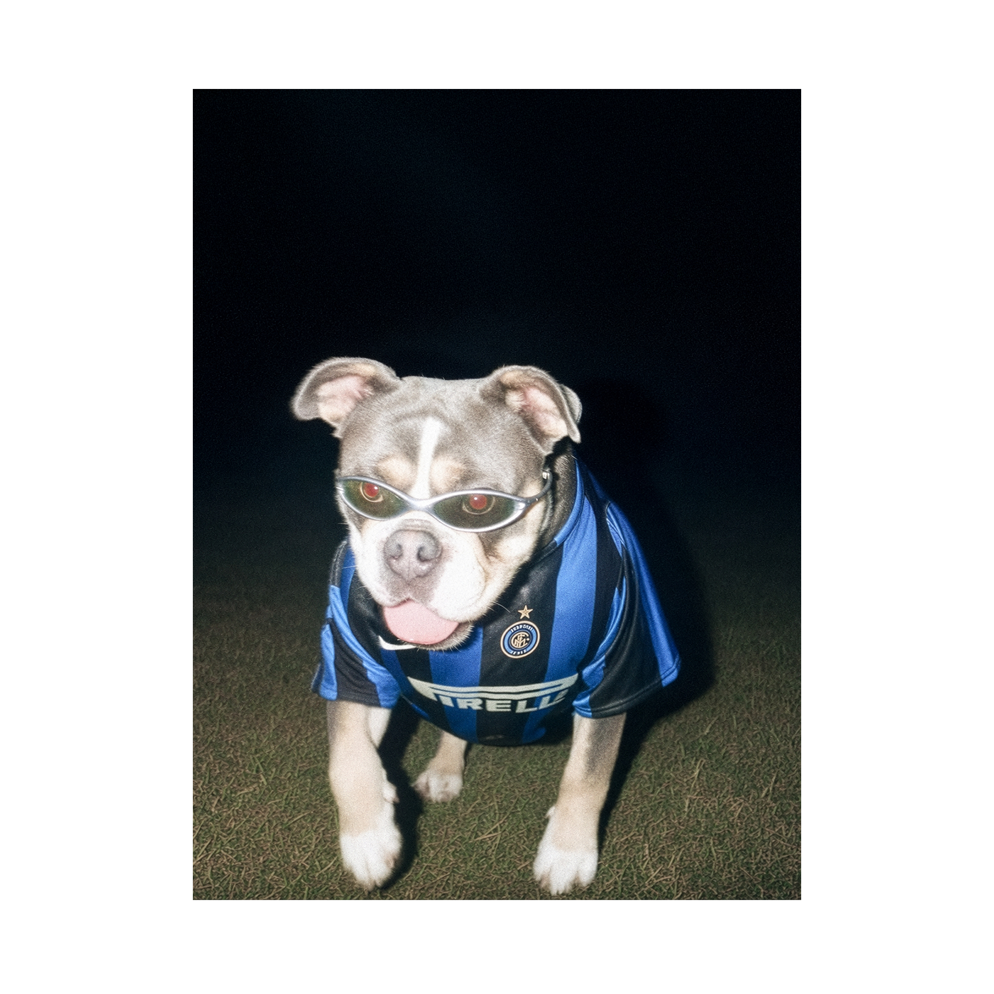 "San Siro" - Custom Framed Pet Portrait