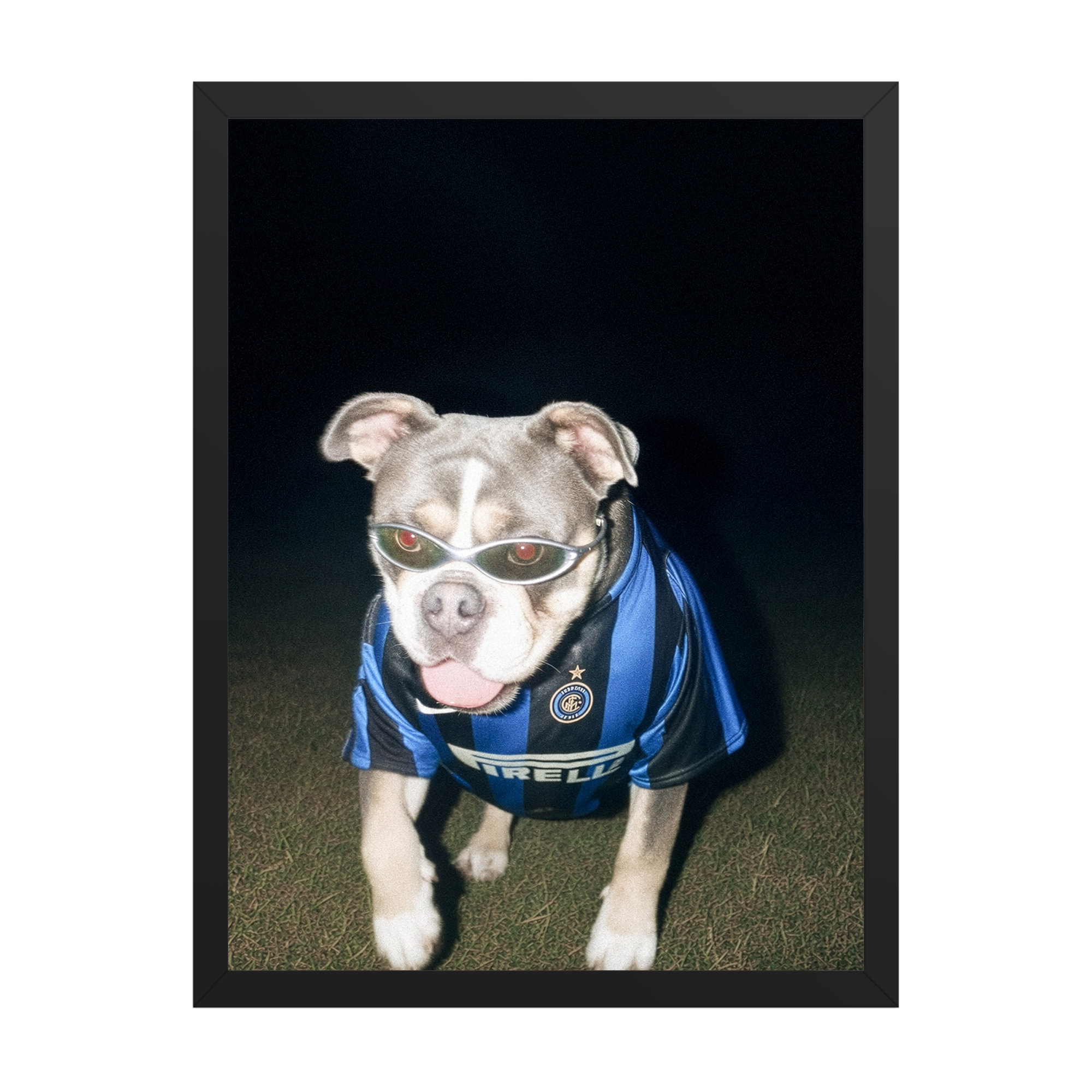 "San Siro" - Custom Framed Pet Portrait