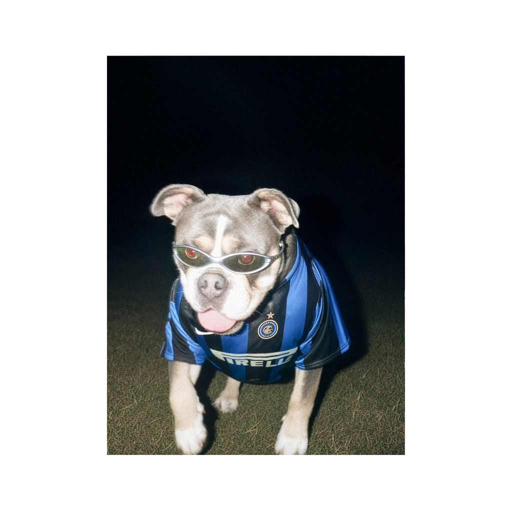 "San Siro" - Custom Framed Pet Portrait