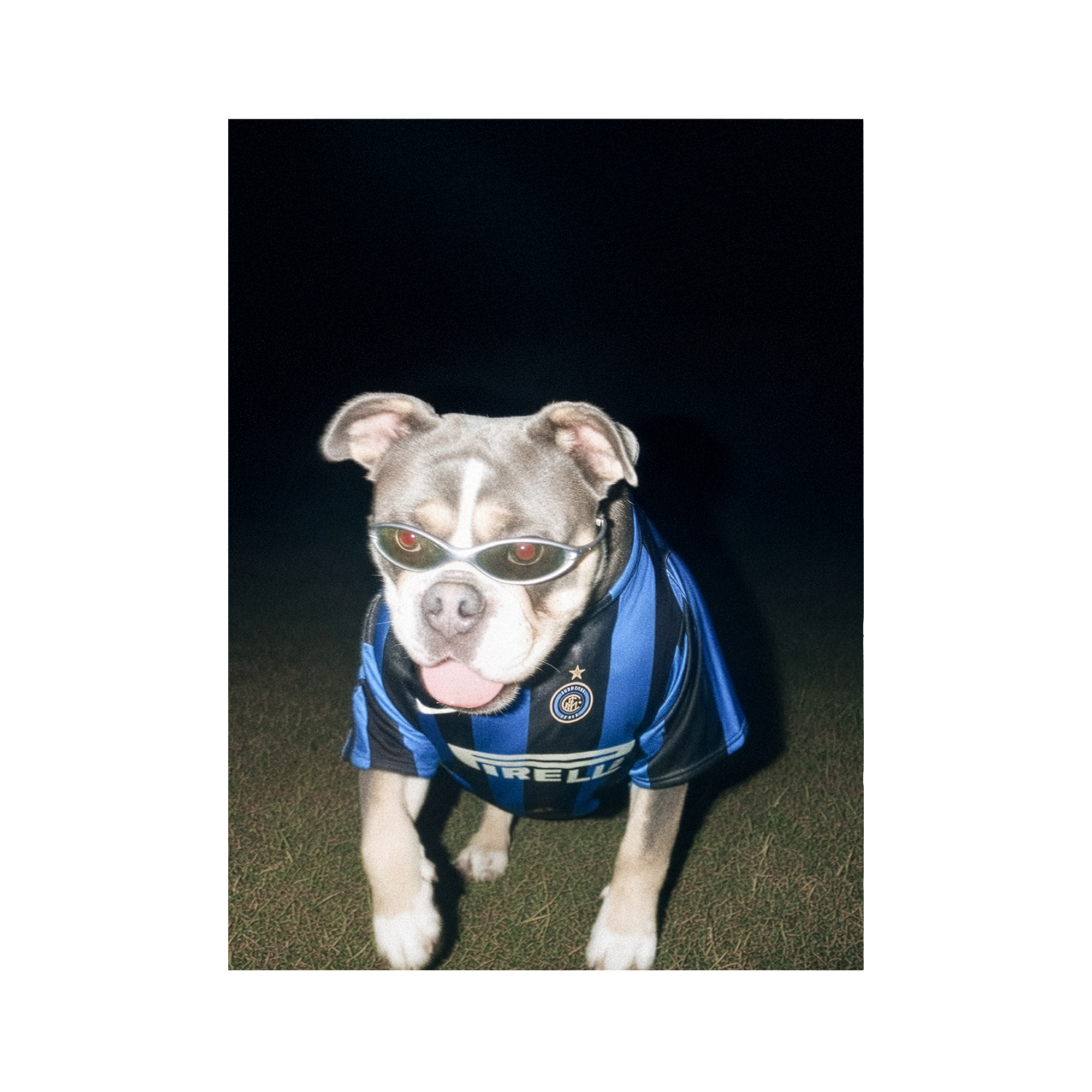 "San Siro" - Custom Framed Pet Portrait