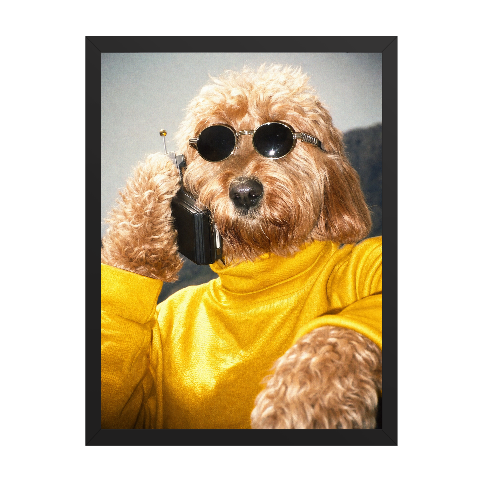 "Strictly Business" - Custom Framed Pet Portrait